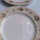 Set of 6 flat plates Salins model Simone beige with flowers.