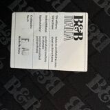 B&B italia Arne sofa