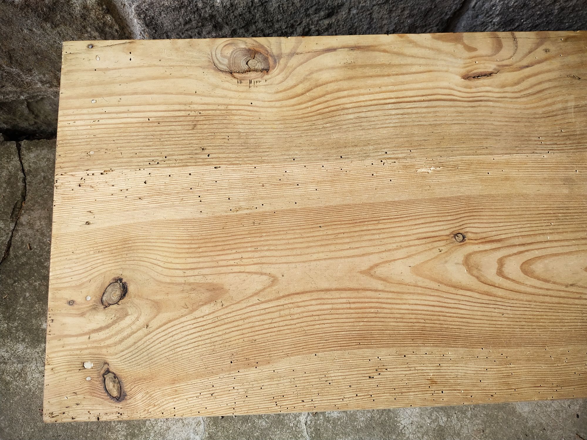 Small old tree closet