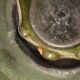 Green glazed terracotta poly-lobed bowl — Meyssac Art Pottery