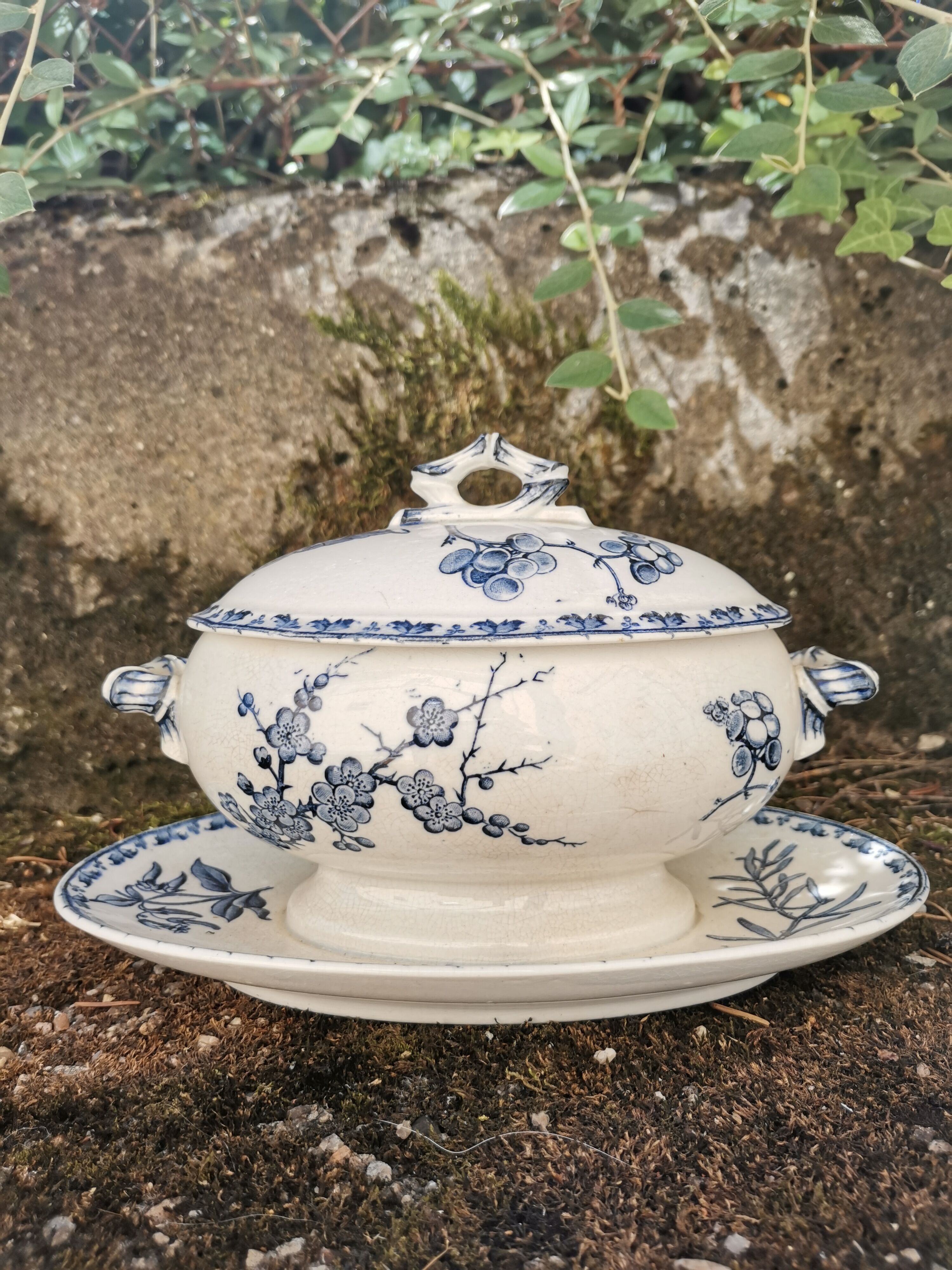 Saucière Sarreguemines Carmen