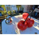 Vintage fruit set in resin and earthenware