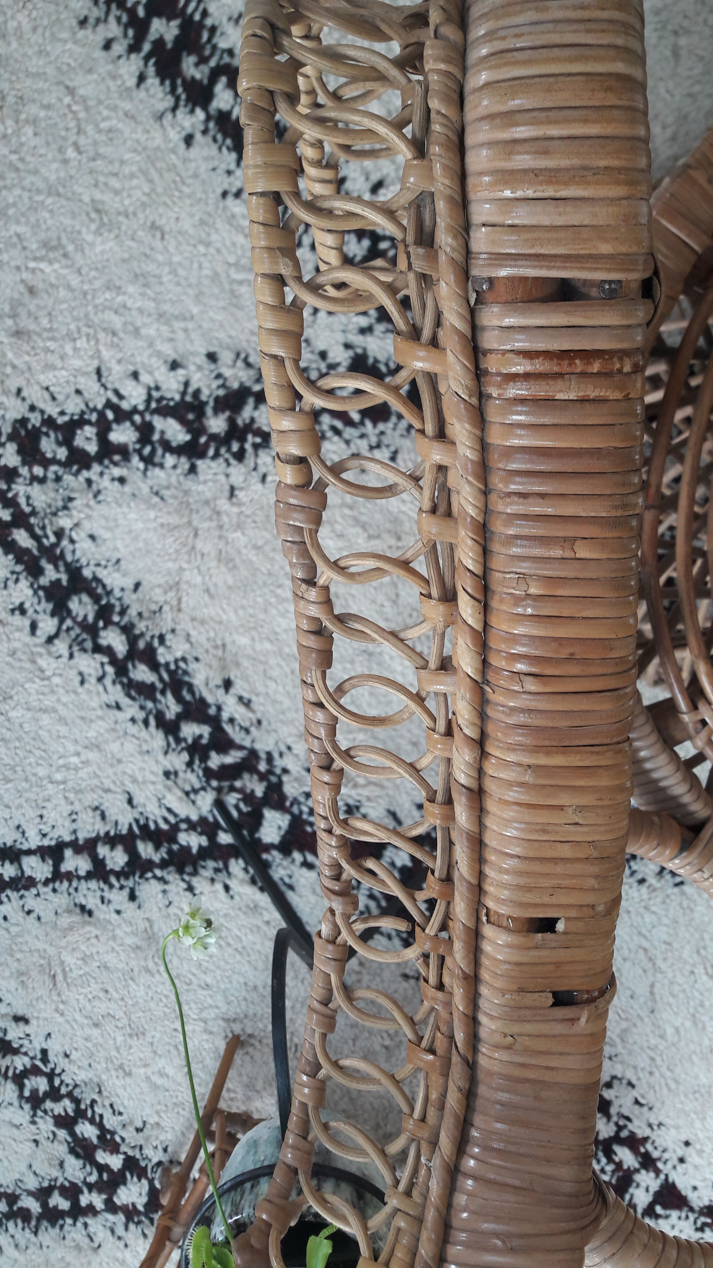 Emmanuelle peacock armchair