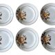 6 old earthenware plates from Saint-Amand (North)