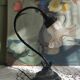 Tulip lamp in patinated black metal with an opaque glass shade.