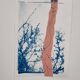 Cyanotype collage