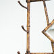 Antique French bamboo standing coat rack with mirror and umbrella stand