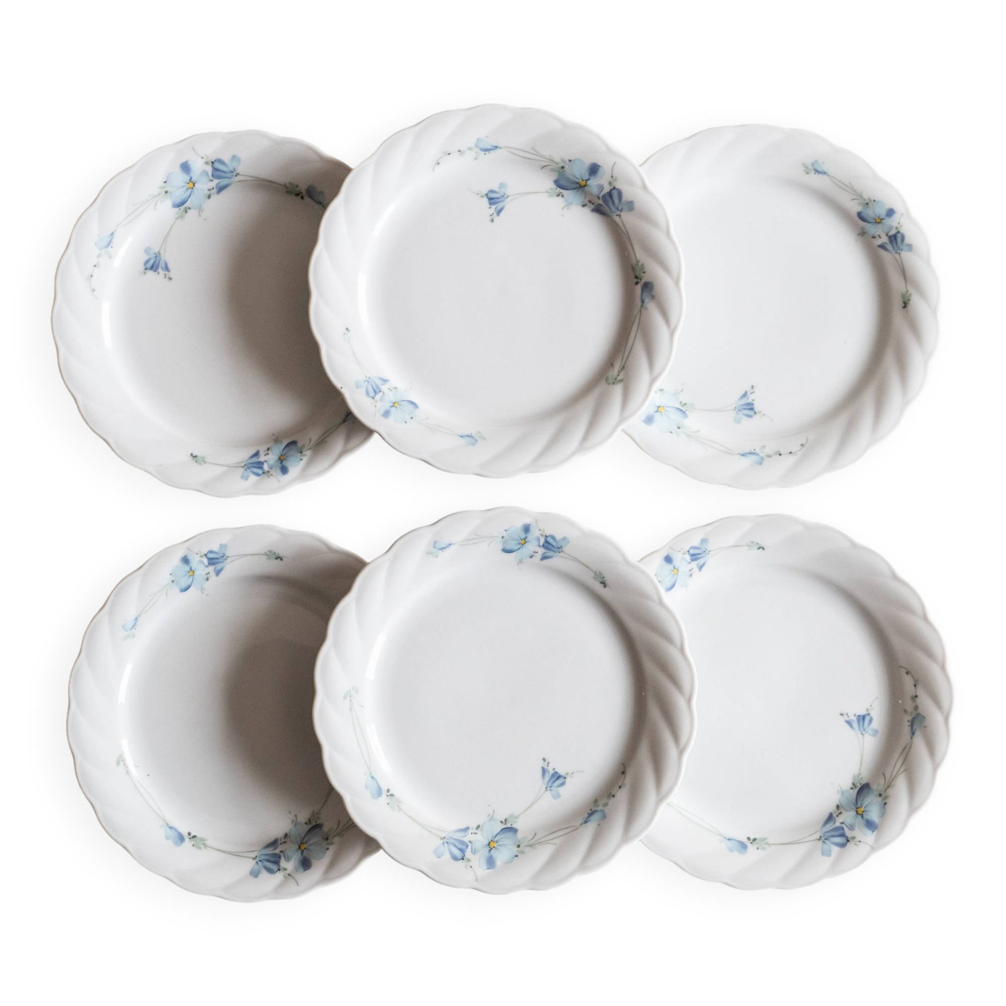 6 Bavarian porcelain plates blueberry model