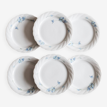 6 assiettes en porcelaine de Bavière modèle bleuets