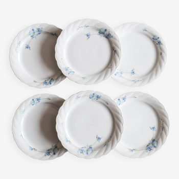 6 Bavarian porcelain plates blueberry model