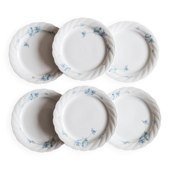 6 assiettes en porcelaine de Bavière modèle bleuets