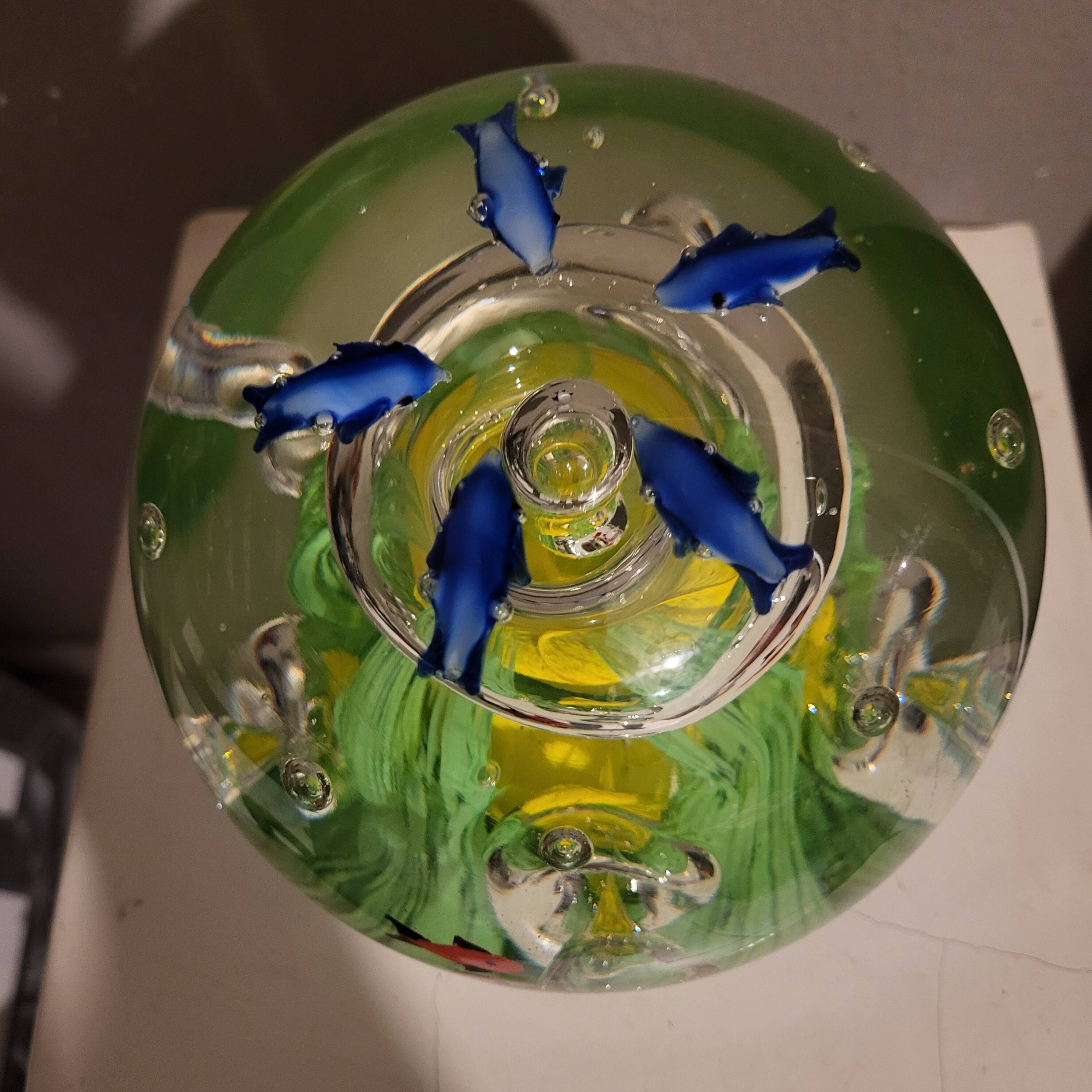 Sulfure aquarium xxl