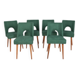 Polish Shell Chairs from Bydgoszcz Furniture Factory, 1960s, Set of 6