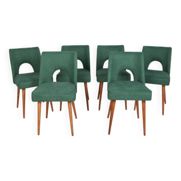 Polish Shell Chairs from Bydgoszcz Furniture Factory, 1960s, Set of 6