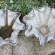 paire de vasque fibrociment forme mouchoir années 60