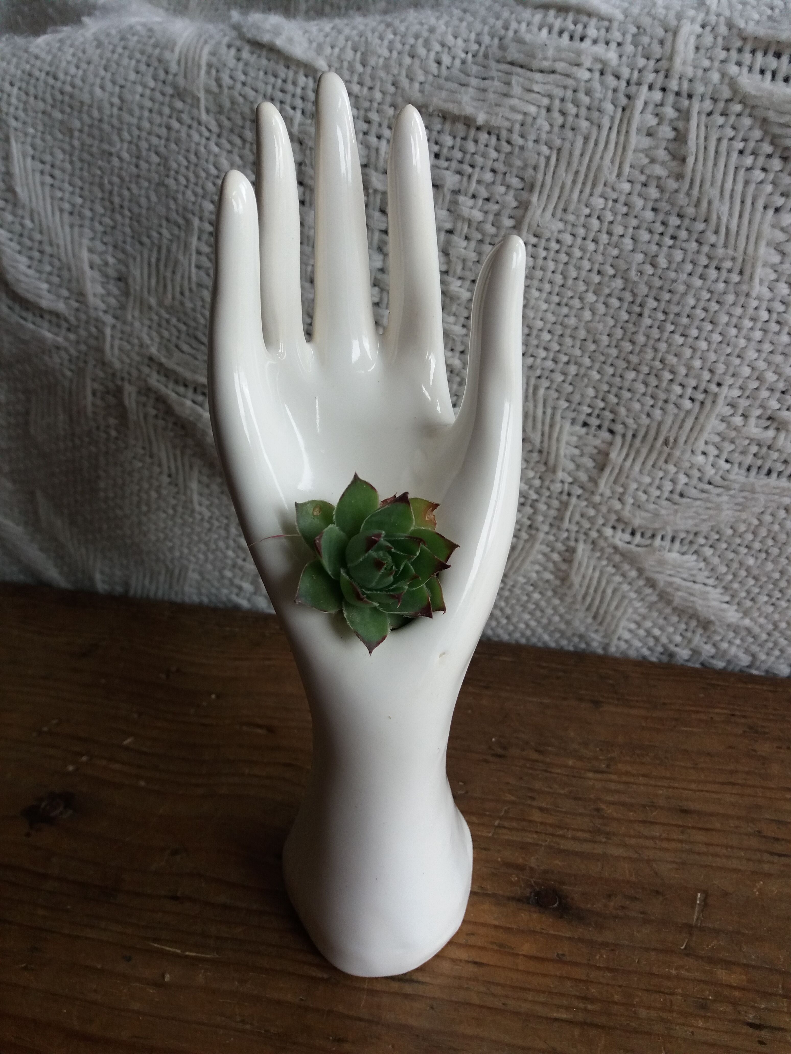 Hand vase soliflore