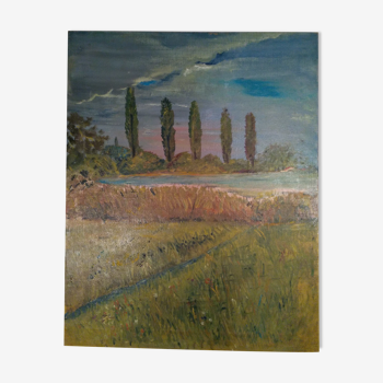 Oil on landscape canvas