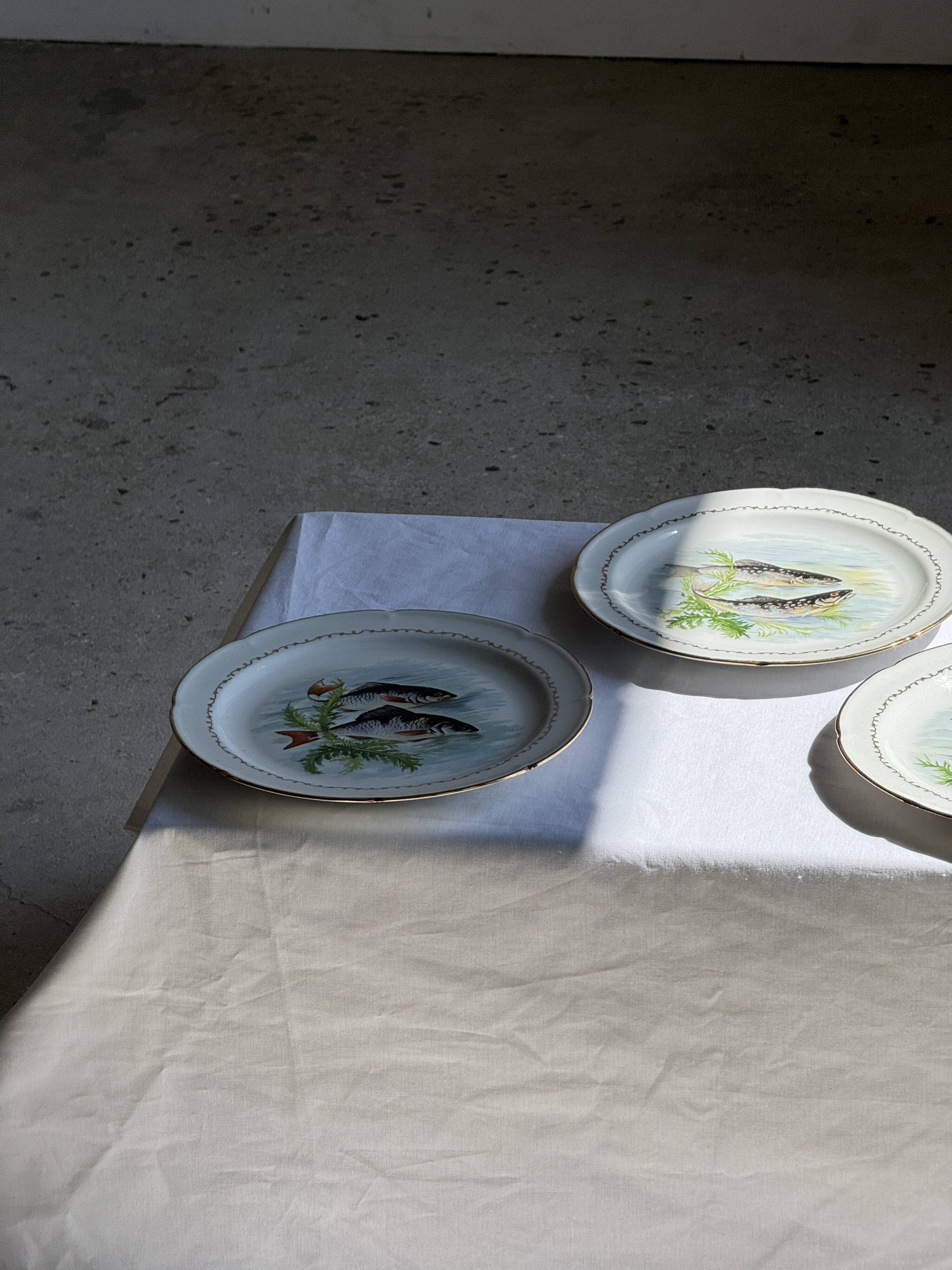 Set of 6 vintage Limoges porcelain plates with fish design.