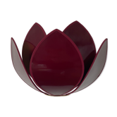 Lotus flower sconces