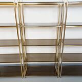 Artelano vintage bookcase shelves in gold metal smoked glass from the 70s