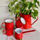 Enamelled mugs and pourers