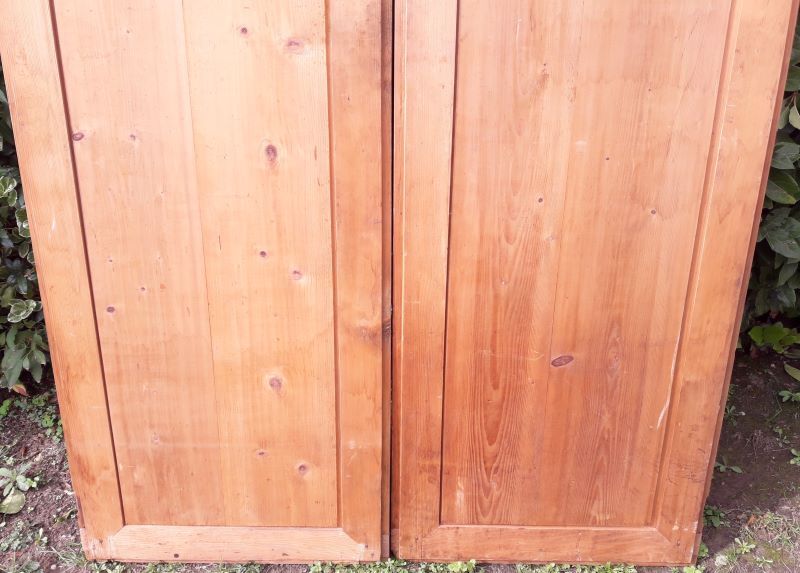 Pair of doors 248x129cm old