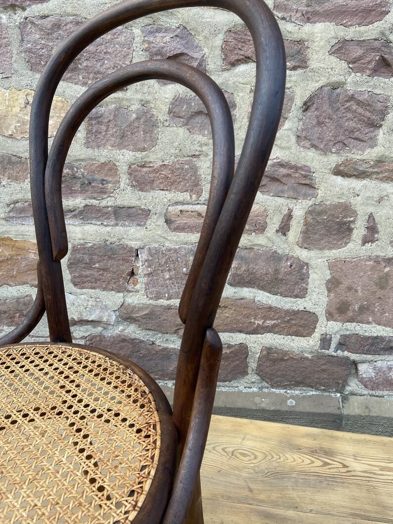 Tuna and curved wooden bistro chair