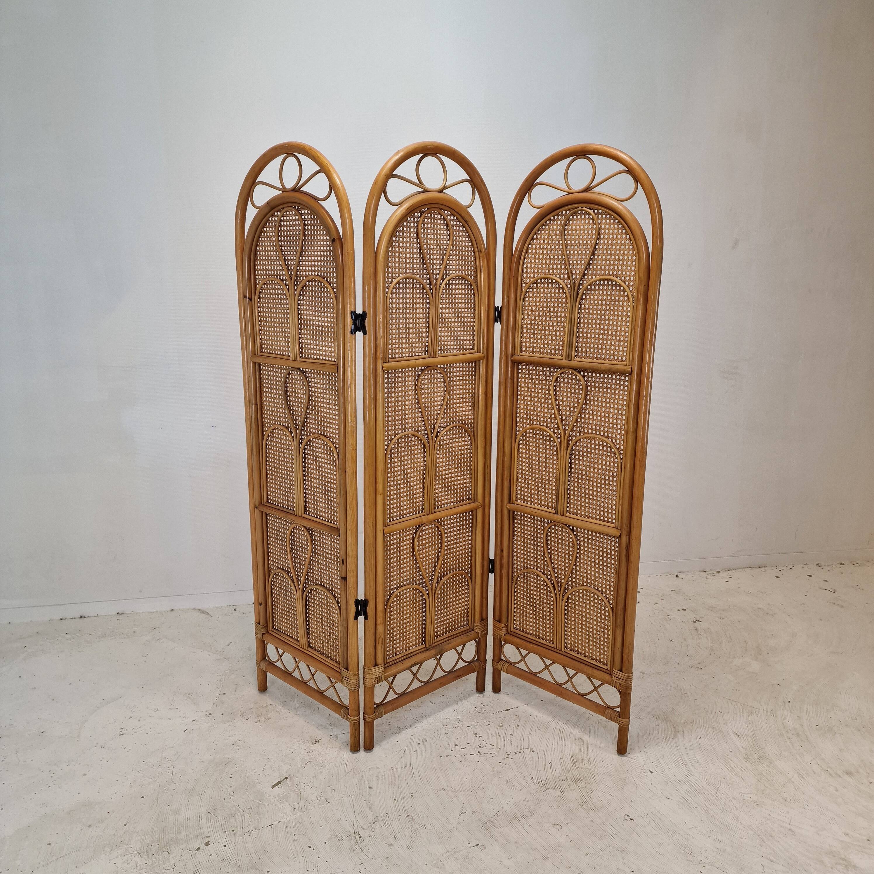 Italian Room Divider in Rattan and Wicker, 1960s
