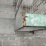 Bird cage