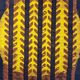 Tapis kilim en laine vintage design Maria Janowska (Zachód) coucher de soleil