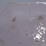 Dish