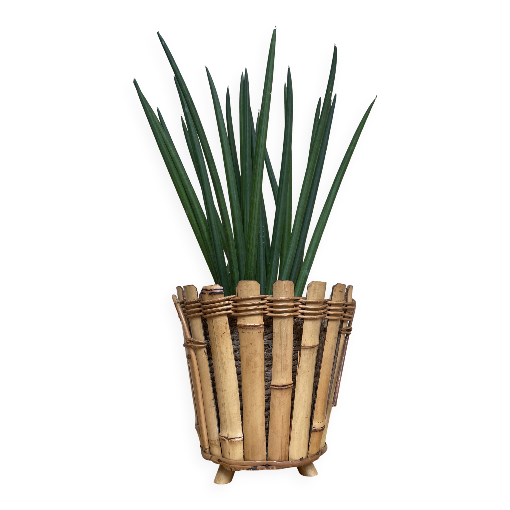 Bamboo planter