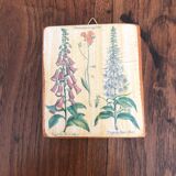 10 "herbarium" frames