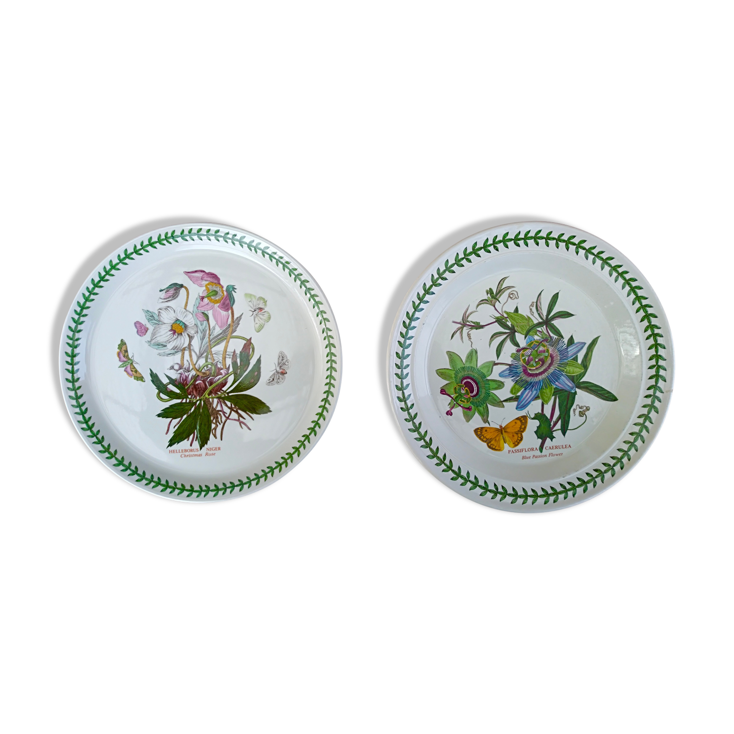 Set of 2 dishes earthenware portmeirion made in england décor botaznic garden