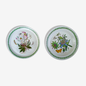 Lot de 2 plats faïence portmeirion made in england décor botaznic garden