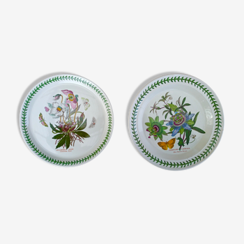 Set of 2 dishes earthenware portmeirion made in england décor botaznic garden