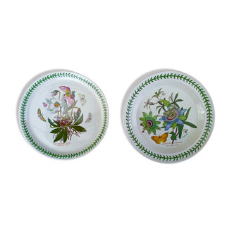 Lot de 2 plats faïence portmeirion made in england décor botaznic garden