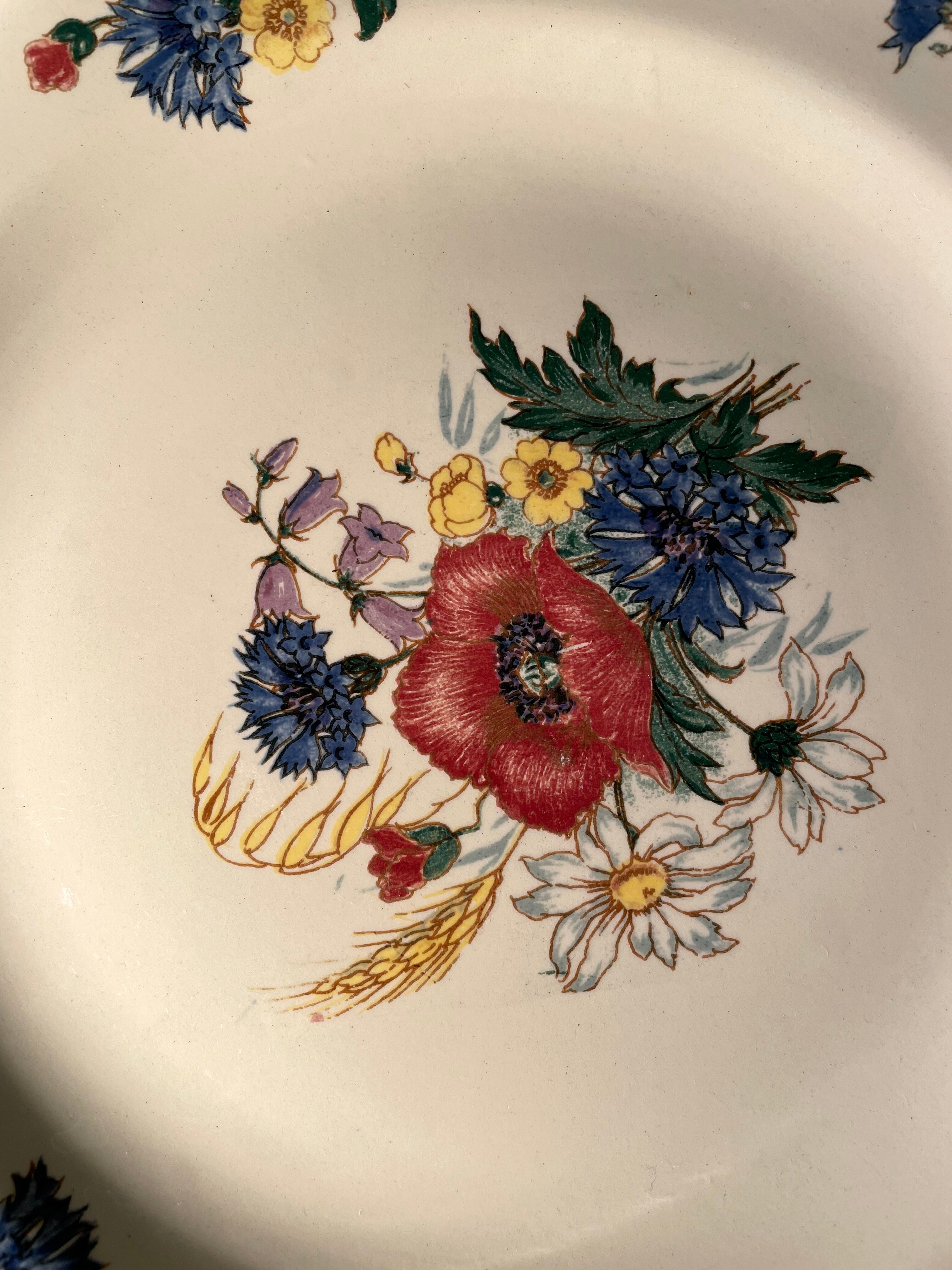 Set of 8 flat plates in Digoin Sarreguemines earthenware, Agreste model