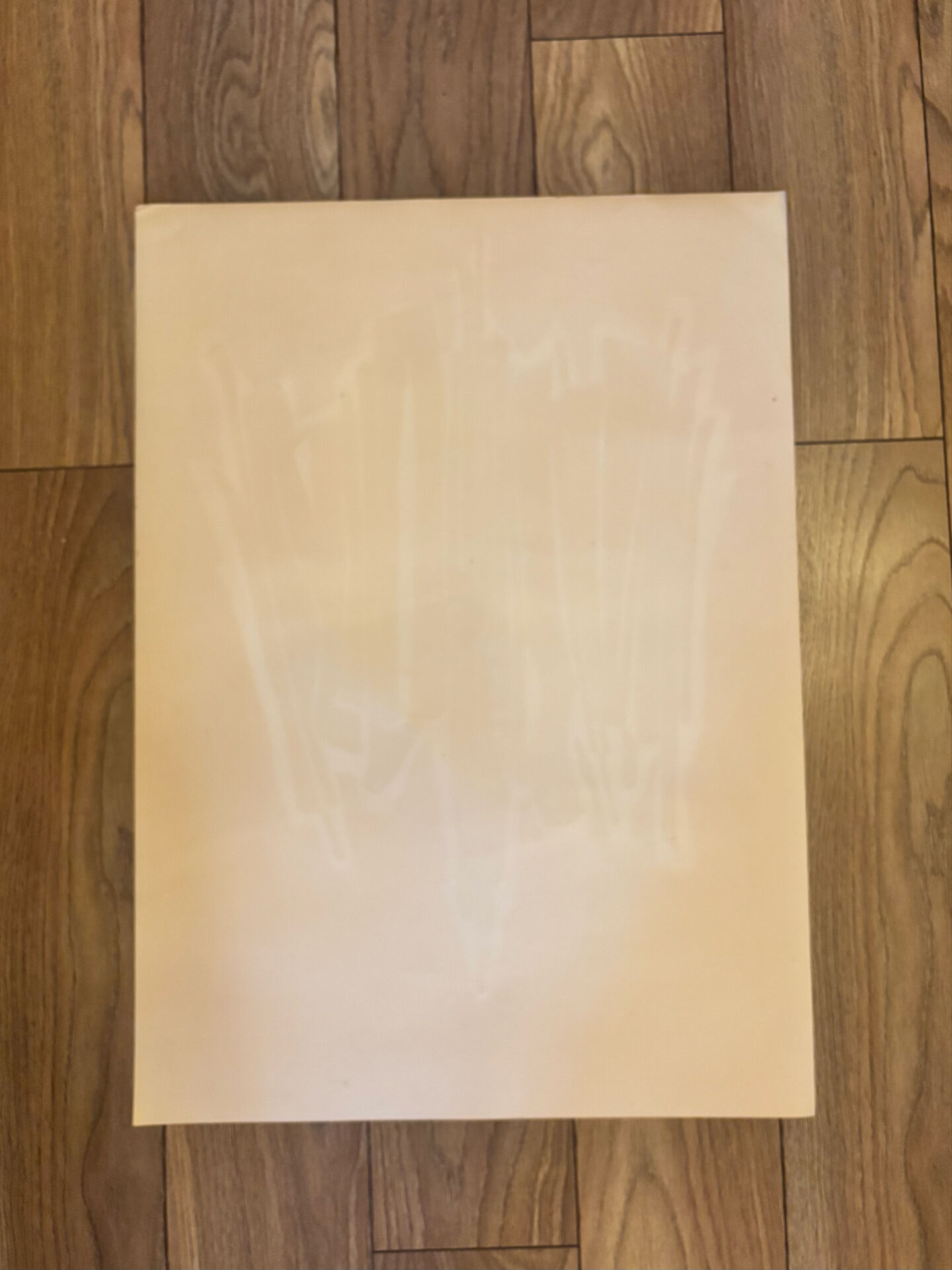 Original Abstract Lithograph Antonia Pino 1970. Signed Numbered 8