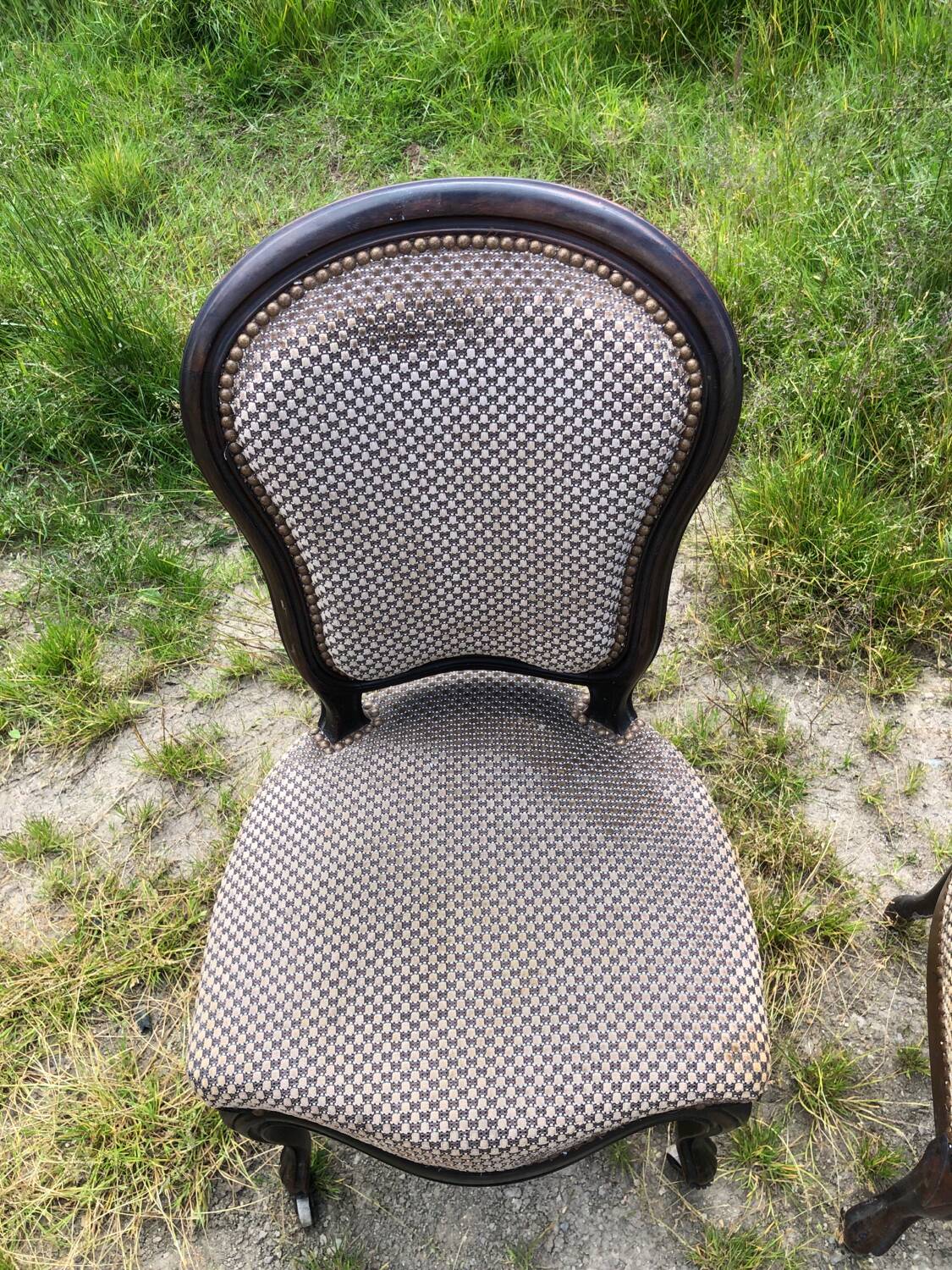 Pair of rosewood medallion chairs