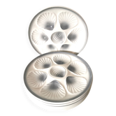 Assiettes plat/à huître, gris et blanc, céramique Moulin des loups