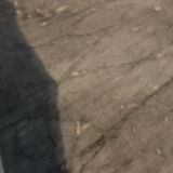 Secretary empire Walnut