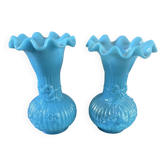 Lot de 2 vases opaline