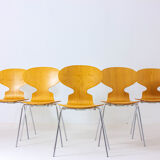 Special set of 5 Ant chairs by Fritz Hansen