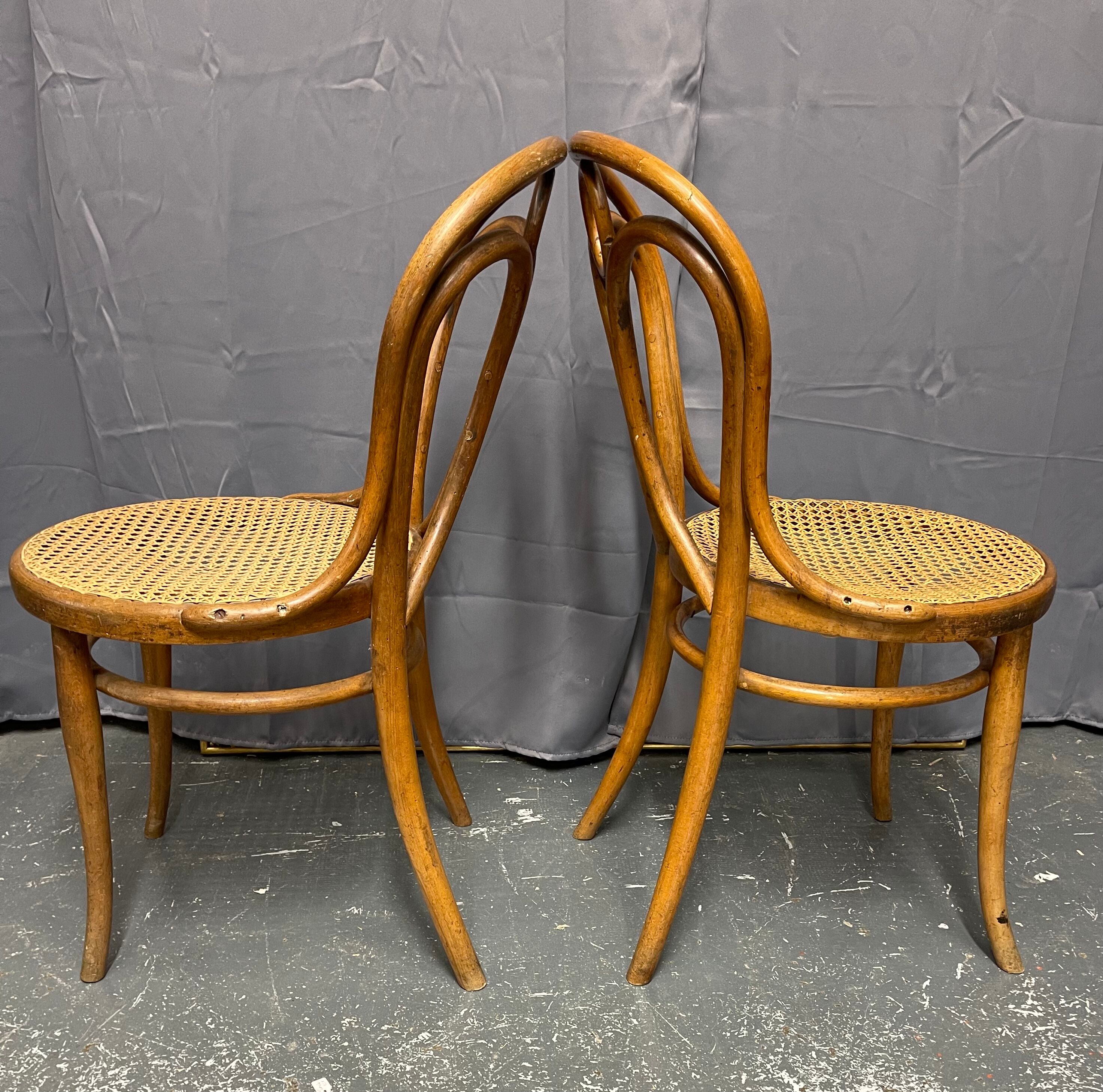 Paire de chaises Thonet n 19 estampillées thonet