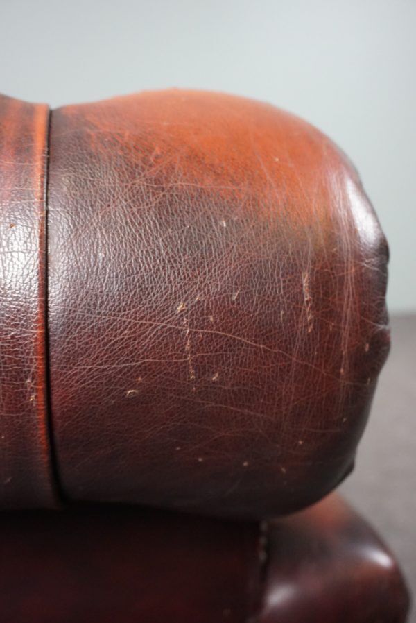 Chesterfield sofa in resistant cowhide, 3 seats