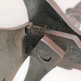 Pair of sculptural cast iron chenets with twisted heads