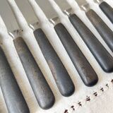 10 Vintage knives in wood and steel LA ROSE, silver medal, France