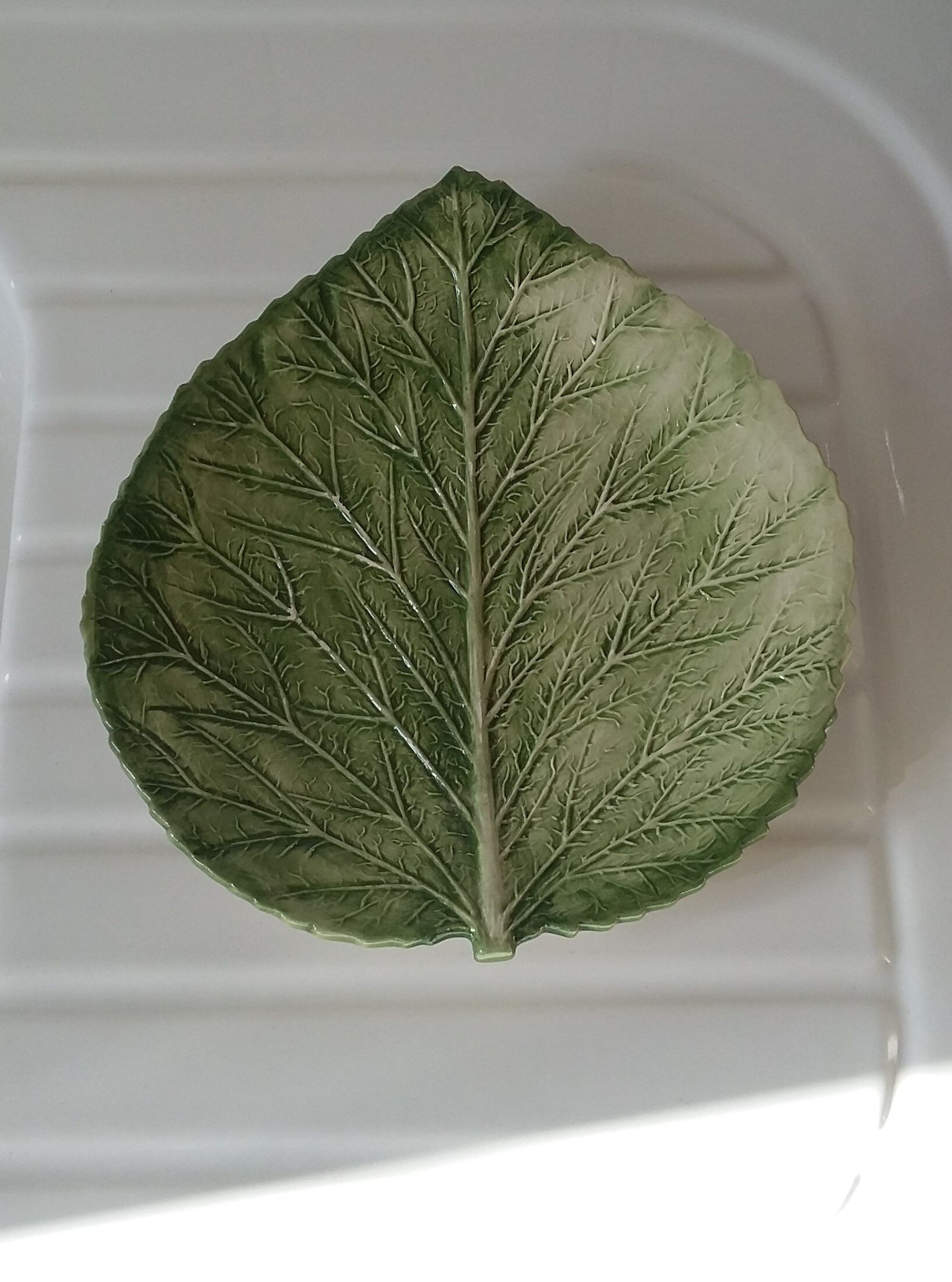 Dish leaf in dabbling