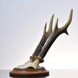 Karl Roegner Deer Massacre